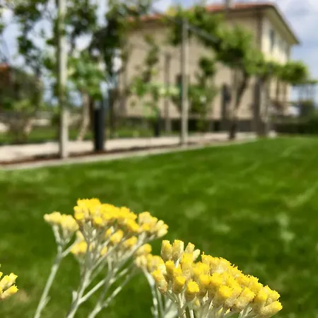 Casa Con Ampio Terrazzo, Vista E Giardino 펜션 토스콜라노마데노
