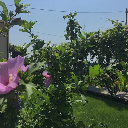 Casa Con Ampio Terrazzo, Vista E Giardino 펜션